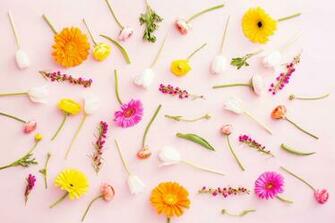 Brand New Desktop And Smartphone Wallpaper For Spring Brit Co