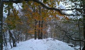 Early Winter By Xmas Kitty