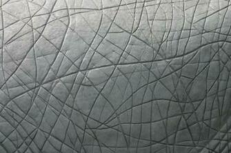 Elephant Skin By Spicercolor