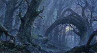 Forest Computer Wallpaper Desktop Background Id