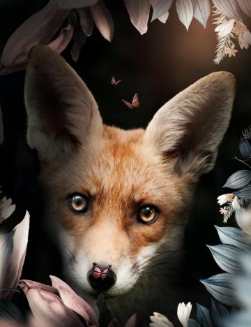 Fleur De Lys Foundation