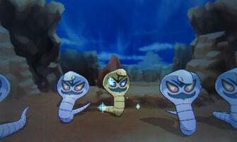 Just An Hour After Shiny Arbok On Pokemon X