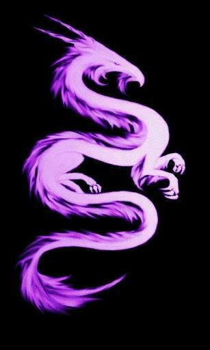 Color Dragon Live Wallpaper Shows A Colorful Chinese Perfect