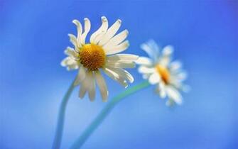 HD Wallpaper 1080p Windows The Best