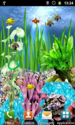 Aquarium Fish Wallpaper