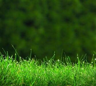 Android Animated Wallpaper