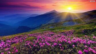 Sunshine Over Hills Wallpaper