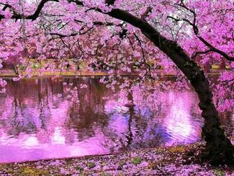 Beautiful Nature 3d HD Image And Photos Wallpaper For