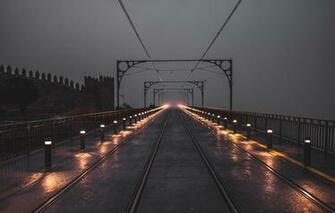 Wallpaper Lights Wet Sky Night Landscapes Birds Glare