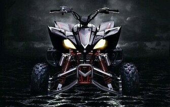 Raptor Wallpaper