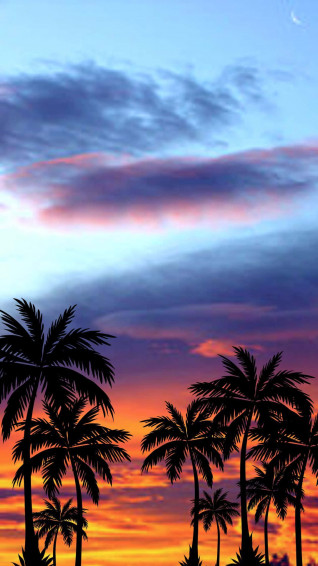 Aesthetic Sunset iPhone With Colorful Vibrant Skies