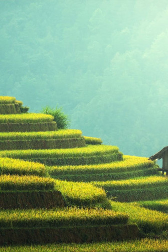 Stock Photo Of Food Light Landscape Mountains
