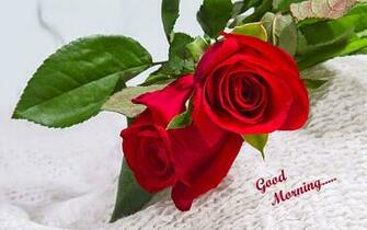 Lovely And Beautiful Good Morning Wallpaper Allfreshwallpaper