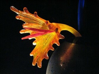 Dale Chihuly HD Wallpaper Flowers Plants