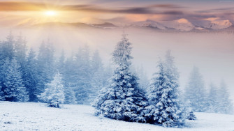Snow Screensavers And Wallpaper
