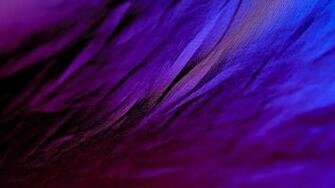 Purple And Black Wallpaper HD Pictures