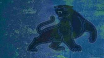 Night Football Nfl And Various Other North American Gridiron