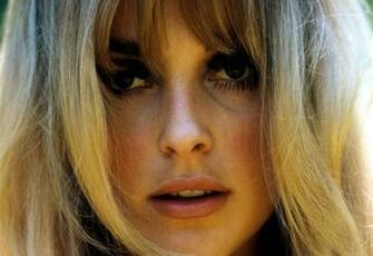 Sharon Tate Wallpaper