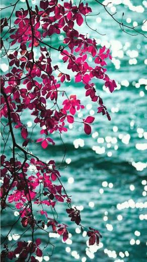 Mobile Phone Wallpaper Dump Give Your A Makeover