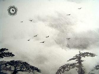 Wallpaper Birds And Sky