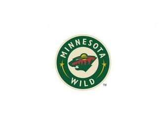 Ing Wild Minnesota HD Wallpaper Color Palette Tags