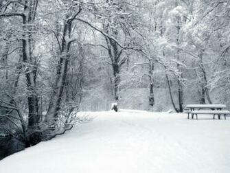 Tag Winter Background Wallpaper Photos Pictures And Image For