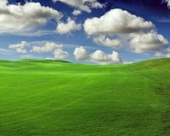 Green Fields