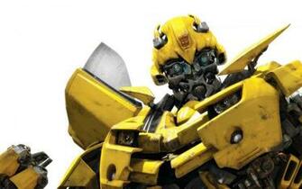 Bumble Bee Wallpaper HD