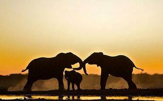 Outstandingly Beautiful Desktop Wallpaper From National Geographic