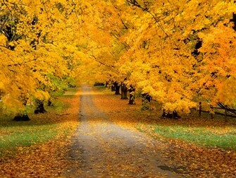 Autumn Desktop Background Background