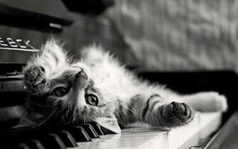 Piano Background Wallpaper High Definition Quality