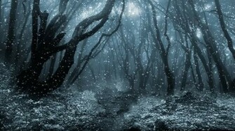 Love Like Winter Wallpaper Pictures Image Photos