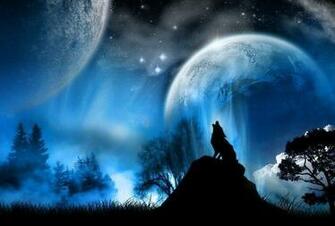 Wolf Anime Wallpaper Fun Animals Wiki Videos Pictures