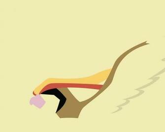 Pidgeot Q0vs