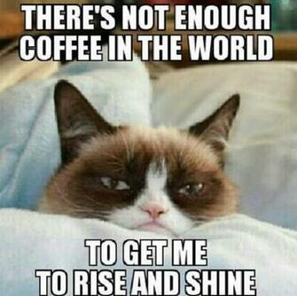 Days Ago Meme Lol Funny Grumpy Cat Pictures