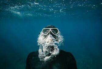 Dive Pictures Hq Image Stock Photos
