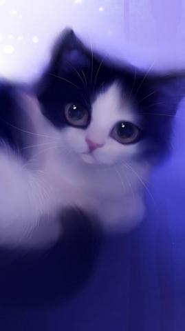 Cute Cat Wallpaper For Android