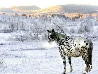 Pictures Winter Landscapes