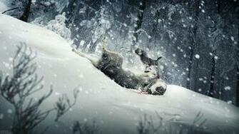 Snow Wallpaper Desktop