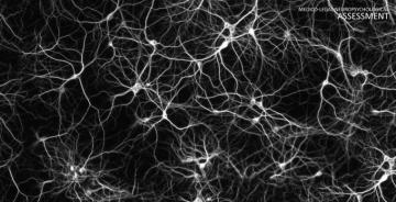 Melbourne Neuropsychologist Neuropsychological Testing