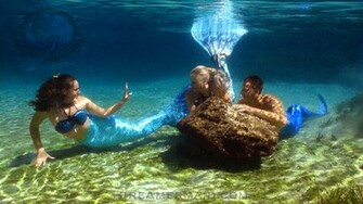 Real Mermaid Wallpaper Cool HD