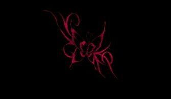 Pink Butterfly On Black Background By Missliss40
