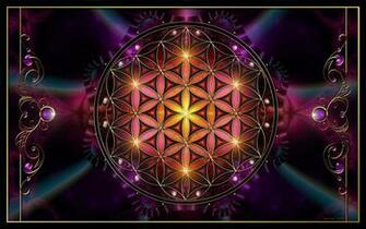 Flower Of Life By Nmsmith