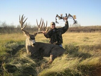 Wallpaper For Mule Deer Buck