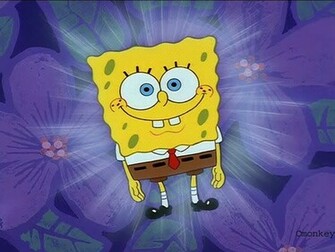 United Spongebob Background And Wallpaper