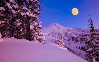 Moon Light Up Winter Night Wallpaper In Nature
