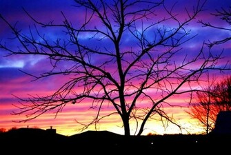X Jpeg 113kb Screensavers For Computer