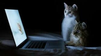 Suspense Thriller Wallpaper