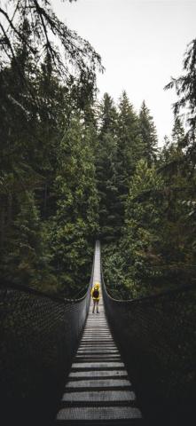 Lynn Valley Park North Vancouver Canada iPhone X Wallpaper