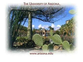 University Of Arizona Joseph Wood Krutch Memorial Garden Wallpaper And